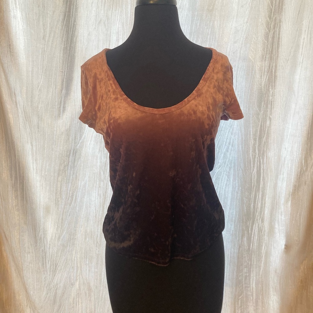 American Eagle outfitters velvet ombré top